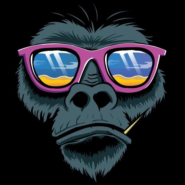 photo_2024-09-01_14-46-50